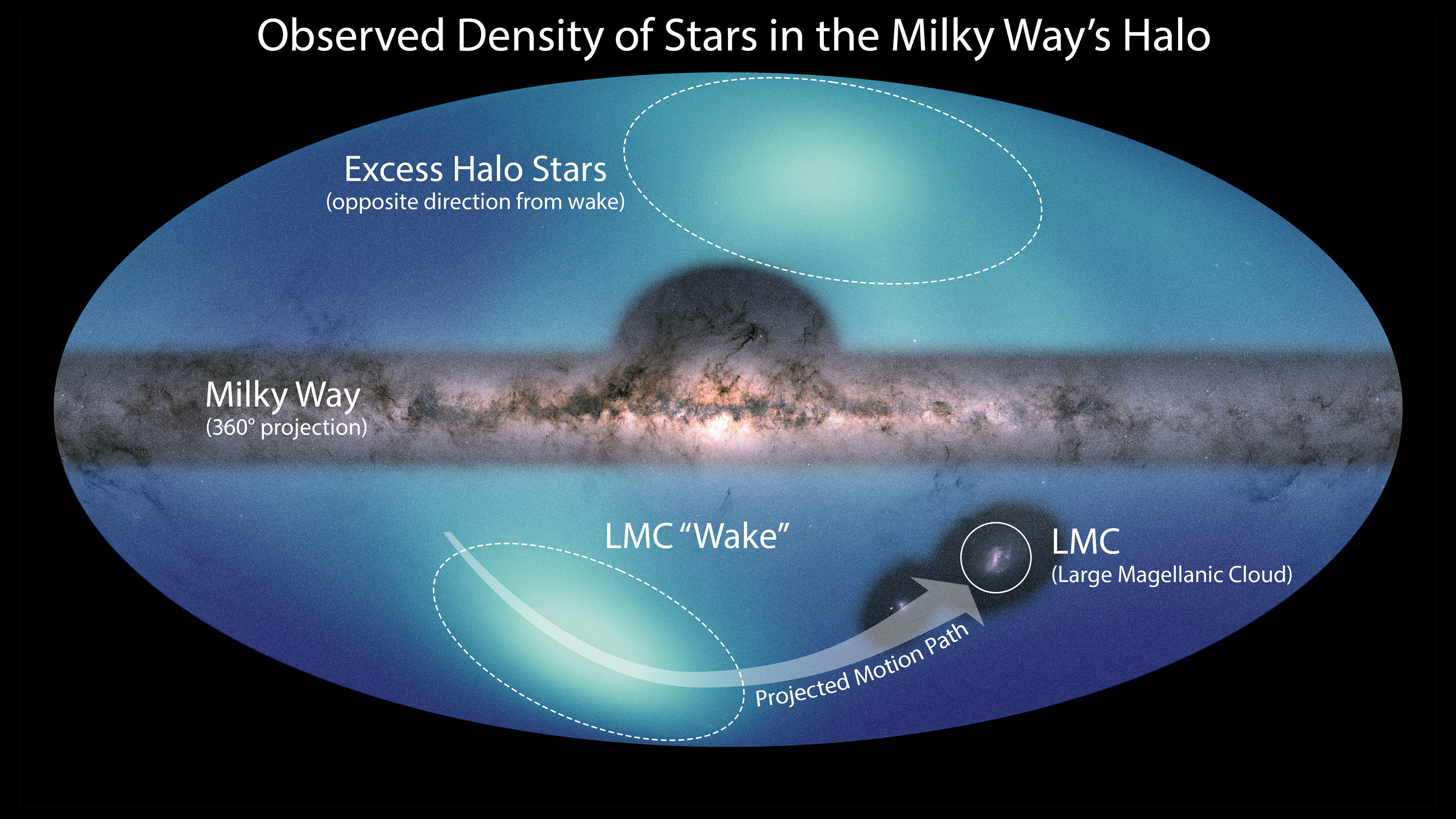 All-sky view of the Milky Way-LMC interaction and associated wake